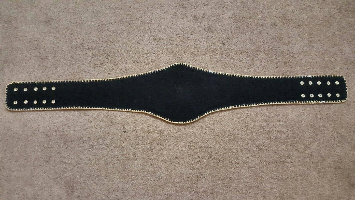 SOUTHWEST HEAVYWEIGHT Championship Belt